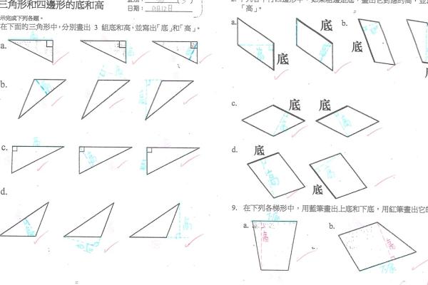 5D陳文希